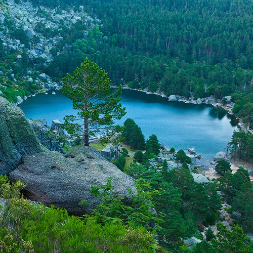 Laguna Negra Laguna Negra